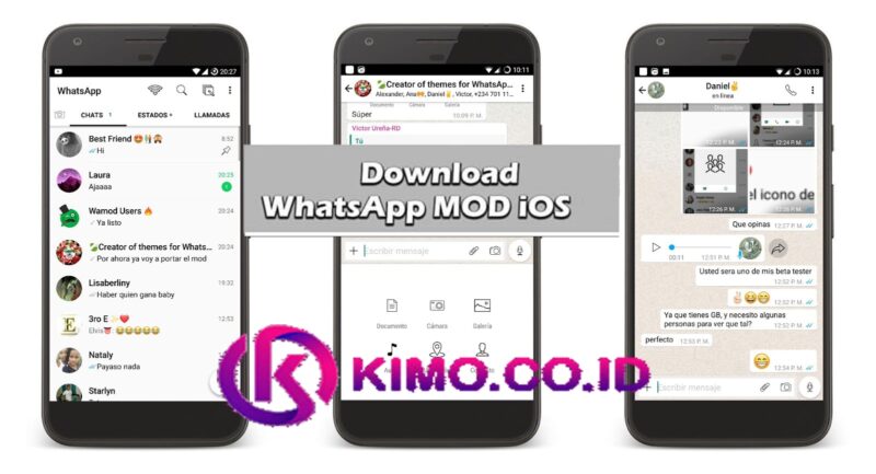 Tata-cara-Pengaturan-Aplikasi-WA-Mod-iOS-Terbaru
